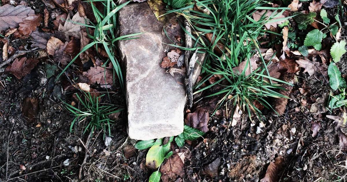 AI编程助手概念图