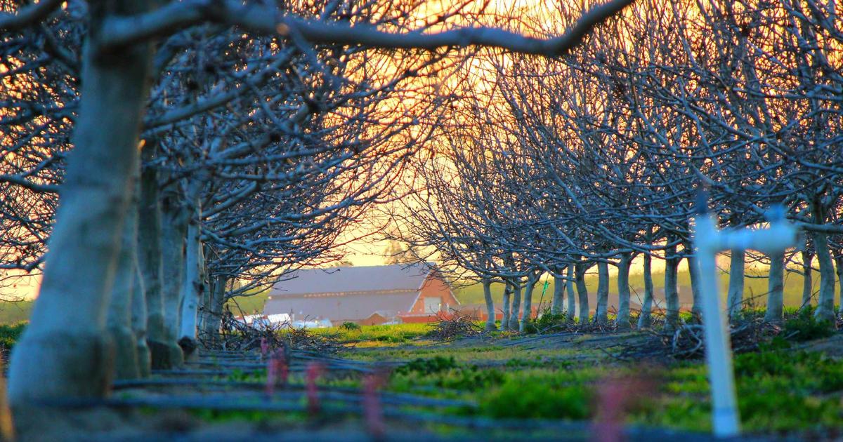 Cursor评测：让写代码变得像聊天一样简单的AI编辑器